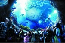 Aqua City Dome at Ocean Park, Hong Kong Aqua City Dome at Ocean Park, Hong Kong